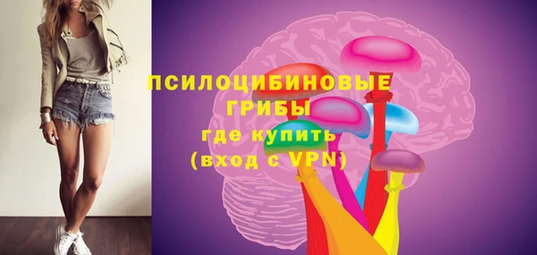 мескалин Бородино