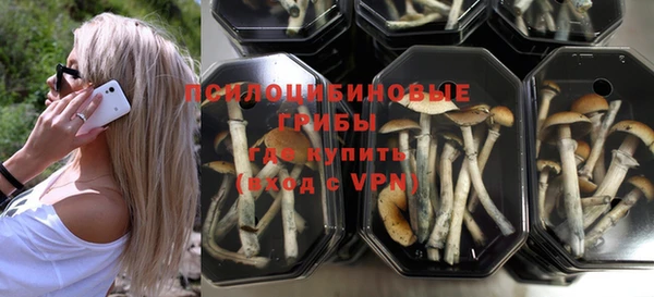 мескалин Бородино