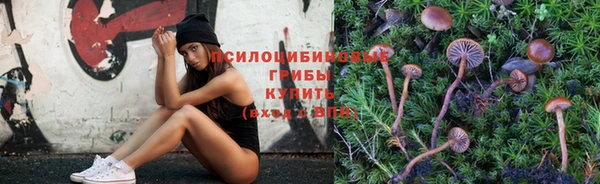 дмт Бугульма