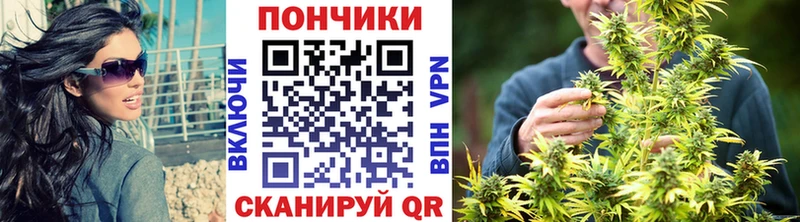 Купить где Белогорск Бошки Шишки семена